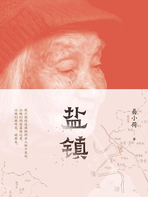 Cover image for 盐镇